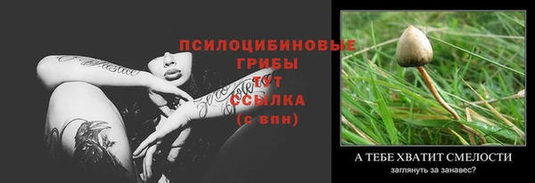 индика Балахна