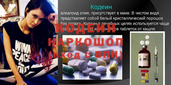 индика Балахна