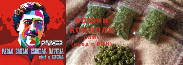 индика Балахна