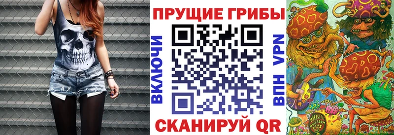 закладки  Тында  Галлюциногенные грибы прущие грибы 